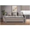 cozy Sofa_Bed