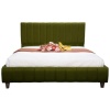 moss green