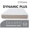 w-DYNAMIC-PLUS-01