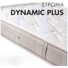 w-DYNAMIC-PLUS-02