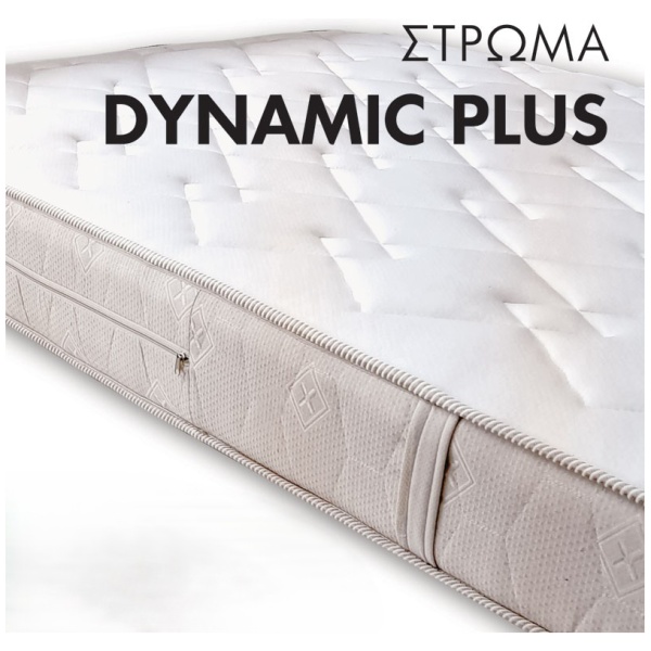 w-DYNAMIC-PLUS-02