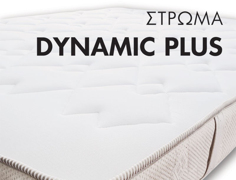 w-DYNAMIC-PLUS-03