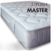 w-MASTER-021
