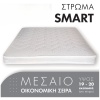 w-SMART-01 w-SMART-01