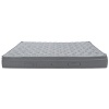 Silver Soft Plus Pillow Top 1