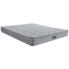 Silver Soft Plus Pillow Top