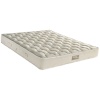 E055-Aloe-vera-foam-250 E055-Aloe-vera-foam-250
